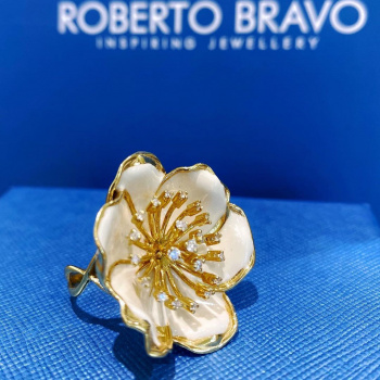 ROBERTO BRAVO