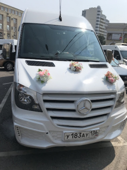 Mercedes sprinter Lux