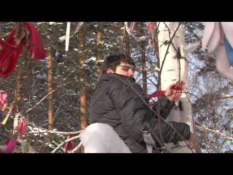 Ролик 88 Свадьба clip HD 14 02 14